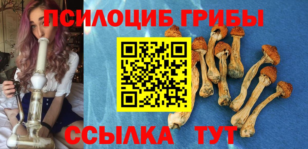 Галлюциногенные грибы Psilocybine cubensis Альметьевск